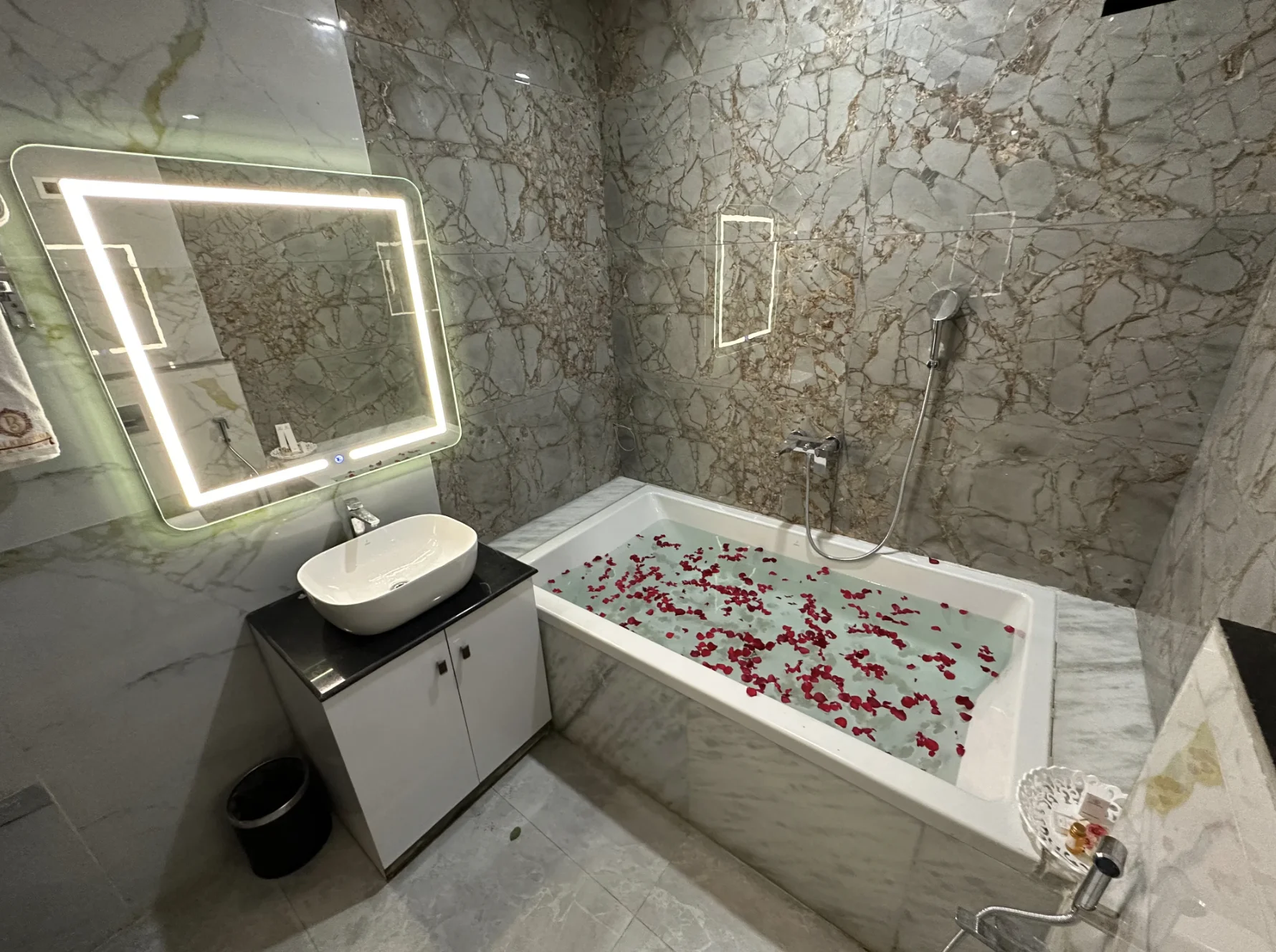Balkrishna Suite photo 3